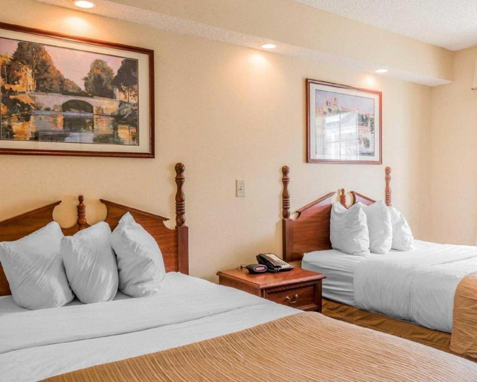 Rodeway Inn Sylacauga Hwy 280 Exteriör bild